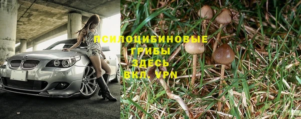 стафф Дмитриев