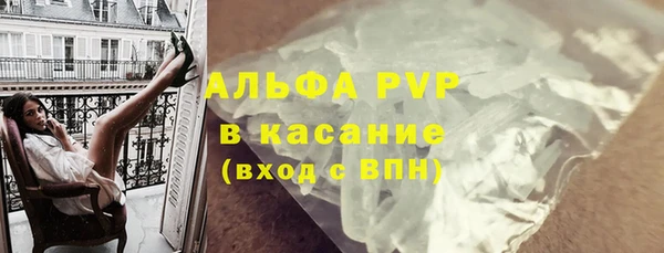 стафф Дмитриев