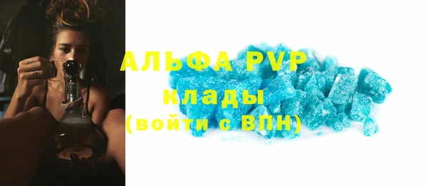 стафф Дмитриев