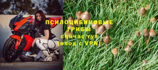 apvp Дмитров