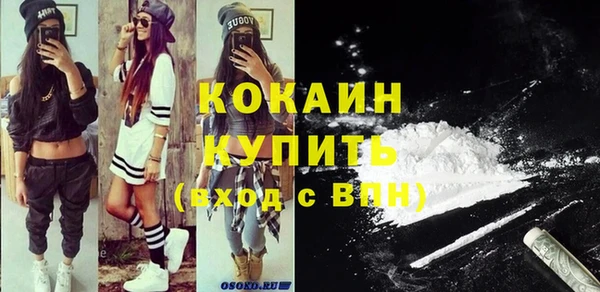 стафф Дмитриев