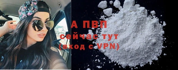 apvp Дмитров
